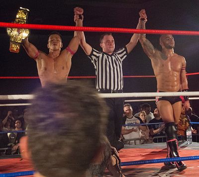 In which Japanese promotion did Ricochet win the Best of the Super Juniors tournament?