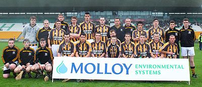 Who managed the Offaly Senior hurlers from 2008 to 2011?