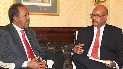 What was Hassan Sheikh Mohamud's profession before getting into politics?