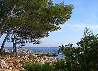 What is the famous technology park near Antibes?