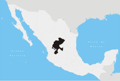 Where is Zacatecas located within Mexico?
