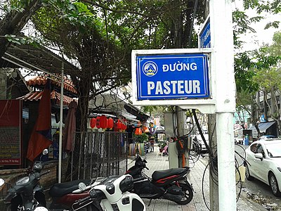 When was Louis Pasteur born?