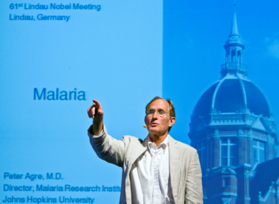 What did Peter Agre study to discover aquaporins?