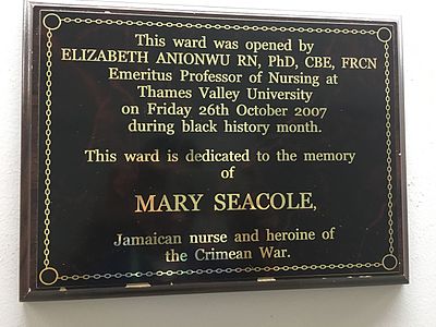 What was Mary Seacole's nationality?