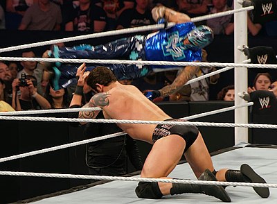 What is Rey Mysterio's signature finishing move?