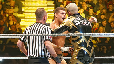Before becoming well-known as Goldust, what ring name did Dustin frequently use?