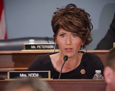 What role did Kristi Noem have in her family business?
