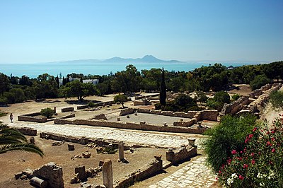 What was Carthage's primary role in the ancient Mediterranean?