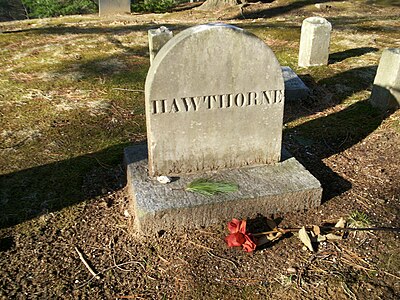 How many novels did Hawthorne publish after The Scarlet Letter was published?