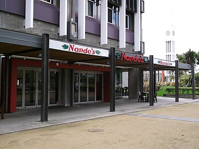What animal is depicted in the Nando's logo?