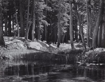 What is Ansel Adams's signature?