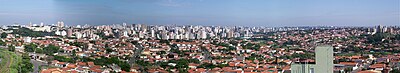 What is the predominant climate in Campinas?