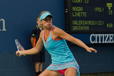 Where did Linette reach quarterfinals in the WTA Premier tournaments?