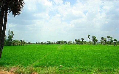 What is Thanjavur often referred to as, due to its agricultural significance?