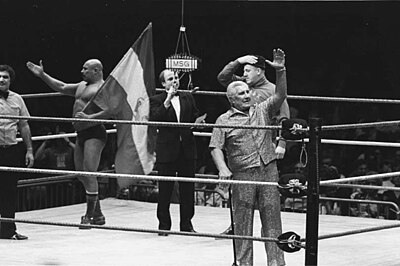 Who was The Iron Sheik's famous rival in the 1980s?