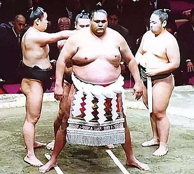 What was the first non-Japanese born wrestler to reach yokozuna?
