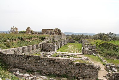 What language did the Carians, who arrived in Miletus in the 13th century BC, speak?