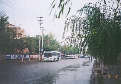 Xining's climate is considered cool due to its elevation of approximately how many meters?