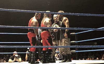 Which championship did the Briscoe Brothers win in Pro Wrestling Noah?