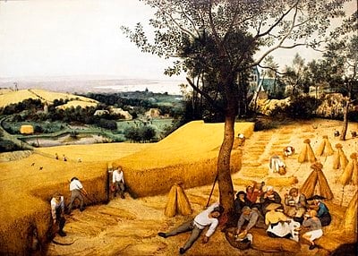 Where did Bruegel settle in 1555?