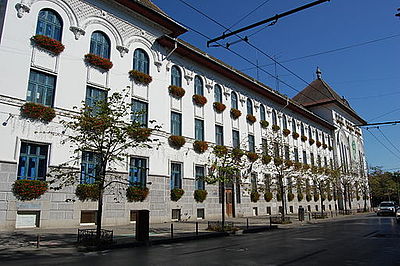 Which of the following is included in Timișoara's list of properties?[br](Select 2 answers)