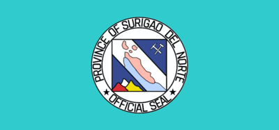 What is the total land area of Surigao City?