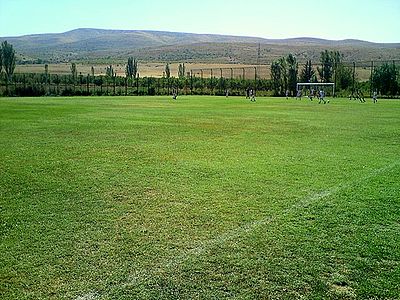 What is the capacity of FC Ararat Yerevan's home stadium?