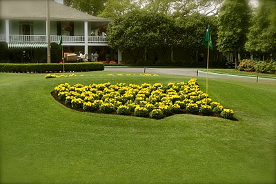 What type of grass is used on the greens at Augusta National Golf Club?