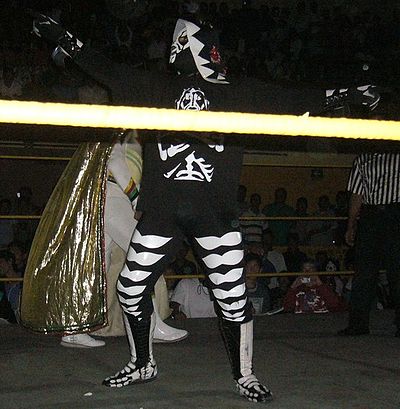 What is the name of L. A. Park's brother who is also a wrestler?