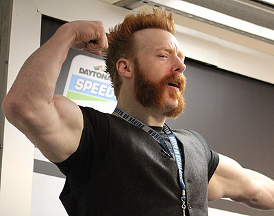 Which match did Sheamus win in 2012?