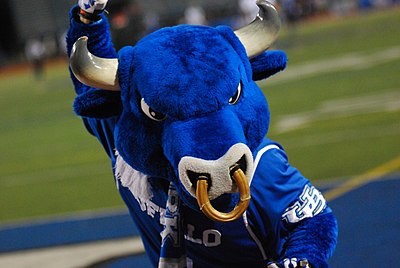 What is the University at Buffalo's endowment?