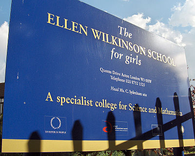 Who was Ellen Wilkinson's mentor in the junior Health Ministry?
