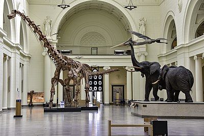 What is the main focus of the Field Museum's scientific research programs?