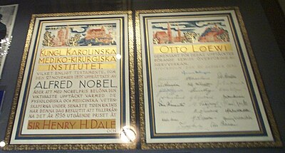 19. Otto Loewi held a degree in which subject?