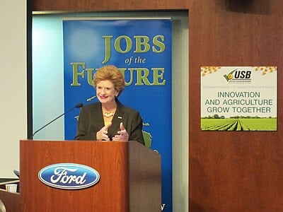 What major policy area is Stabenow particularly known for?