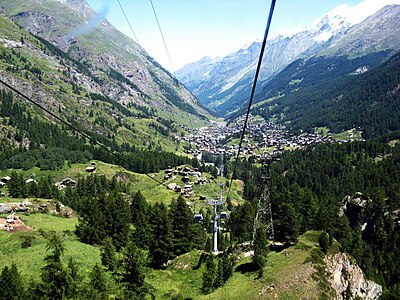 What is the main type of fauna in Zermatt?
