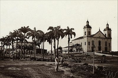 When was Manaus elevated to a town?