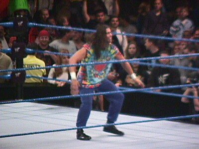 Who was Stevie Richards' tag team partner during his time in WWE?