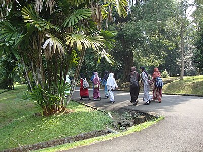 What is the main reason for Bogor's high population density?