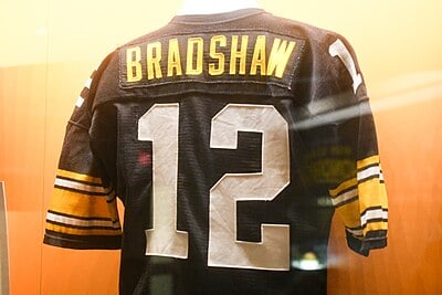 Which quality plays a large role in Terry Bradshaw's success on the field?