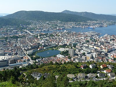 What organizations has Bergen been a part of?