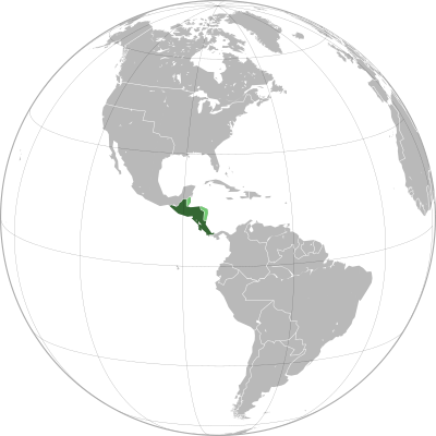 What are the chapters of the Movimiento Ciudadano para la Integración Centroamericana known as?
