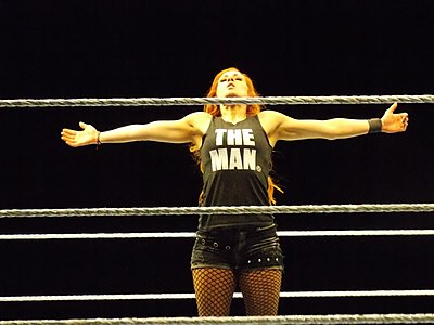 In which year did Becky Lynch start training as a professional wrestler?
