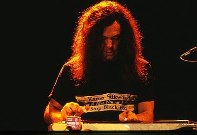 What was David Lindley's primary occupation?