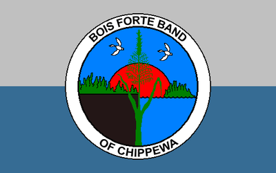 What type of environment is the Bois Forte Band of Chippewa located in?