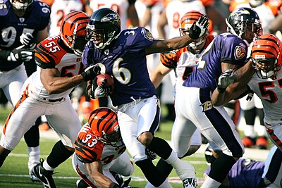 In which year were the Baltimore Ravens established?