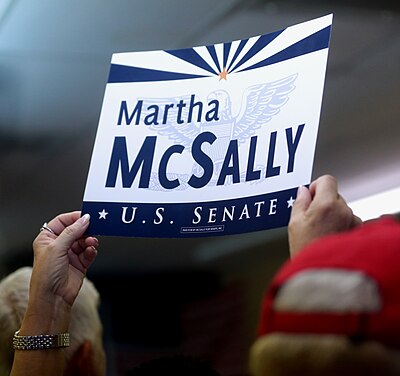 What branch of the military did McSally serve in?