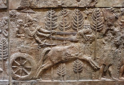 How did Sargon II treat conquered foreign peoples within his empire?