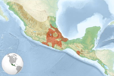 What did the Aztec Empire offer to the rulers of conquered cities?