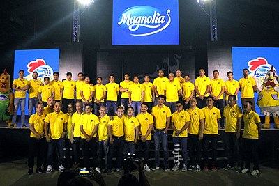 In which season did the Magnolia Hotshots achieve their only Grand Slam?